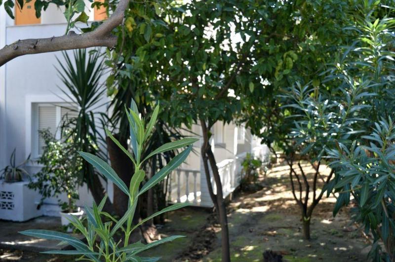 Chryssi Akti Hotel Argassi Luaran gambar